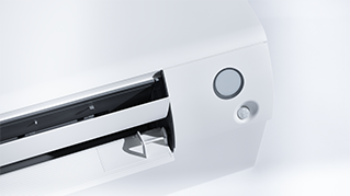 CTXM-A_Details_011.tif