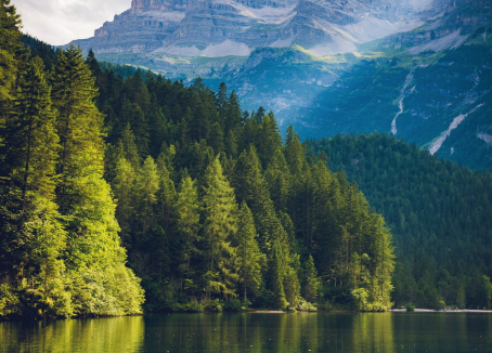 Sustainable Business